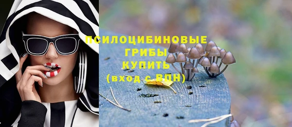 МДПВ Богданович