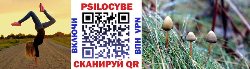 купить наркоту  Верхняя Тура  Галлюциногенные грибы мицелий 